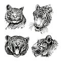 Graphical set of four portraits of tigers on white background isolated, elements for design and tattoo