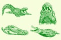 Graphical set of green crocodiles, vector illustration