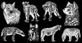 Graphical set of hyenas isolated on black background, vector engraved elements Royalty Free Stock Photo