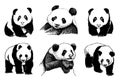 Graphical set of panda isolated on white background, jpg illustration