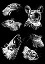 Graphical set of portraits of rats on black isolated,vector engraved illustration