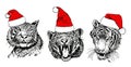 Graphical set of portraits of tigers in red hats on white background,vector new year elements Royalty Free Stock Photo