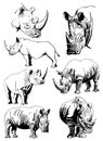 Graphical set of rhinos isolated on white background, vector illustration Royalty Free Stock Photo