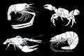 Graphical set of sea-food isolated on black background, vector illustration, marine life Royalty Free Stock Photo