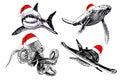 Graphical set of sharks in  Santa Claus hats  isolated  on white background, vector new year illustration Royalty Free Stock Photo