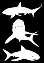 Graphical set of sharks silhouettes isolated on black background, vector illustration