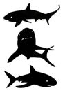 Graphical set of sharks silhouettes isolated on white background, vector illustration