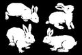 Graphical set of silhouettes of bunny isolated on black background,vector elements