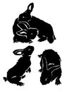 Graphical set of silhouettes of bunny isolated on white background,vector elements