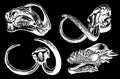 Graphical set of skulls of dinosaurs and mammoth isolated on black background,vector illustration