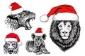 Graphical set of tiger and lions in Santa Claus hats on white background