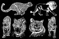 Graphical set of tigers and lions isolated on black background,vector hand-drawn illustration for tattoo and printing Royalty Free Stock Photo