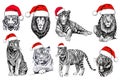 Graphical set of tigers in  Santa Claus hats  isolated  on white background, vector new year illustration Royalty Free Stock Photo