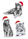 Graphical set of tigers in  Santa Claus hats  isolated  on white background, vector new year illustration Royalty Free Stock Photo