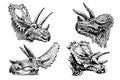 Graphical set of triceratops portraits isolated on white background, vector illustration
