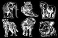 Graphical set of wild animals isolated on black background.