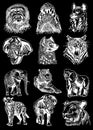 Graphical set of wild animals isolated on black background.