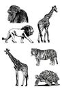 Graphical set of wild animals isolated on white,vector illustration. Hand-drawn elements of the wild Royalty Free Stock Photo