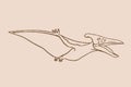 Graphical sketch of pterodactyl ,vector vintage illustration