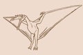 Graphical sketch of pterodactyl ,vector vintage illustration