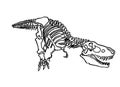 Graphical sketch of tyrannosaurus attacking isolated on white,vector illustration for books,coloring,tattoo Royalty Free Stock Photo