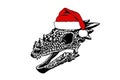 Graphical skull of dinosaur in Santa Claus hat, vector elements of ancient peroud