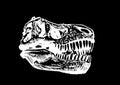 Graphical skull of tyrannosaurus on black background,vector element,anthropology fossil
