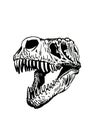 Graphical skull of tyrannosaurus on white background,vector element,antropology fossil