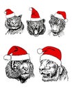 Graphical two portraits of tiger and lion in Santa Claus hats on white background,symbol of new year 2022 Royalty Free Stock Photo