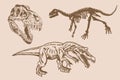 Graphical vintage collection of dinosaurs,sepia illustration