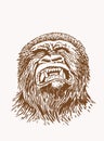 Graphical vintage drawing of gorilla ,sepia background,vector illustration
