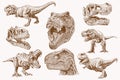 Graphical vintage set of dinosaurs , sepia background, vector illustration