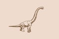 Graphical vintage illustration of diplodocus on sepia background,vector illustration, dinosaur with long neck