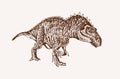 Graphical vintage Megalosaurus ,sepia background, vector illustration, lizard