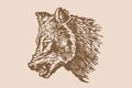 Graphical vintage portrait of angry wolf isolated on sepia background,vector illustration, forest animal Royalty Free Stock Photo