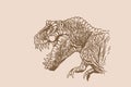 Graphical vintage portrait of tyrannosaurus, sepia background,vector illustration