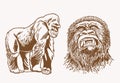 Graphical vintage portraits of gorilla and hyena, sepia background, vector Royalty Free Stock Photo