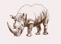 Graphical vintage rhino ,sepia background, vector illustration