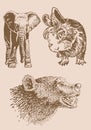Graphical vintage set of animals on sepia background,vector illustration. Zoology Royalty Free Stock Photo