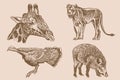 Graphical vintage set of animals on sepia background,vector illustration. Zoology Royalty Free Stock Photo