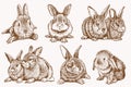 Graphical vintage set of bunnies ,vector retro illustration Royalty Free Stock Photo