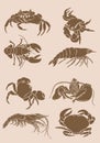 Graphical vintage set of crabs,shrimps and lobsters isolated ,sepia background,vector engraved illustration, sea-food Royalty Free Stock Photo