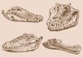 Graphical vintage set of crocodiles skulls ,sepia background,vector illustration