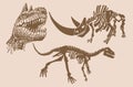 Graphical vintage set of dinosaurs and skeleton of rhino