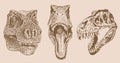 Graphical vintage set of heads of tyrannosaurus,vector illustration