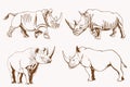 Graphical vintage set of rhinos , sepia background, vector illustration Royalty Free Stock Photo