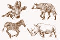 Graphical vintage set of savanna animals , sepia background,vector illustration