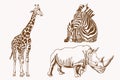 Graphical vintage set of savanna animals , sepia background,vector illustration