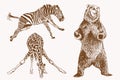 Graphical vintage set of savanna animals , sepia background,vector illustration