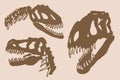 Graphical vintage set of skeletons of tyrannosaurus and skulls , vector fossils